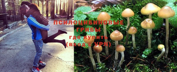 спайс Киреевск