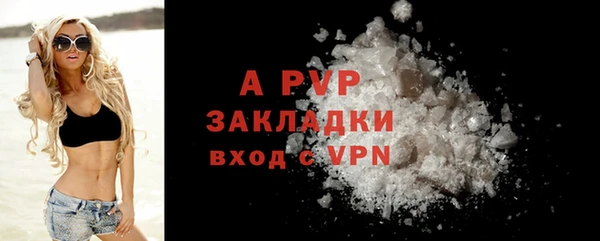 стаф Чита