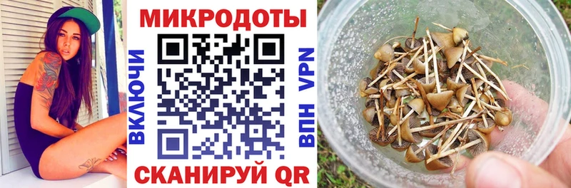 Галлюциногенные грибы GOLDEN TEACHER  Купить  Красноуфимск 